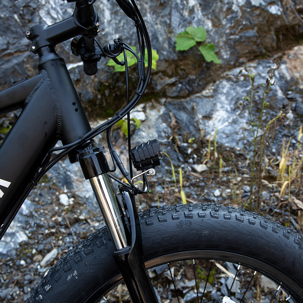 Professional Electric Bike For Adults, 26 X 4.0 Inches Fat Tire