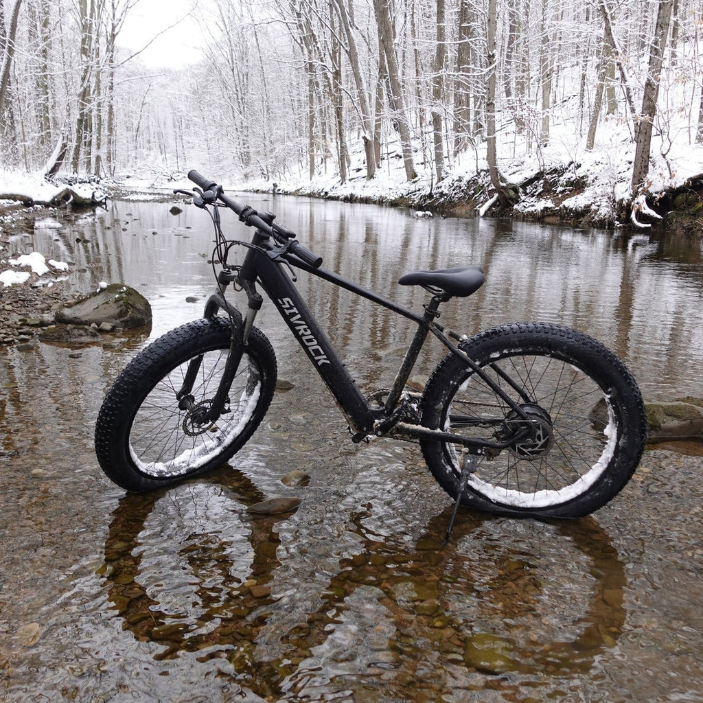 Professional Electric Bike For Adults, 26 X 4.0 Inches Fat Tire